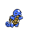:gs/Squirtle: